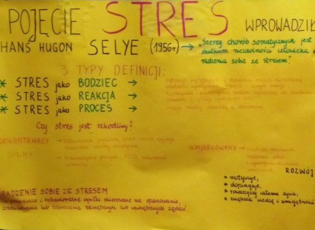 Radzimy sobie ze stresem...